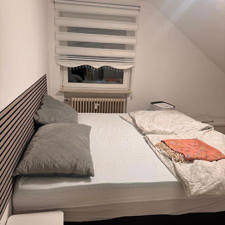 Am Auepark Apartment Kassel Ngoại thất bức ảnh